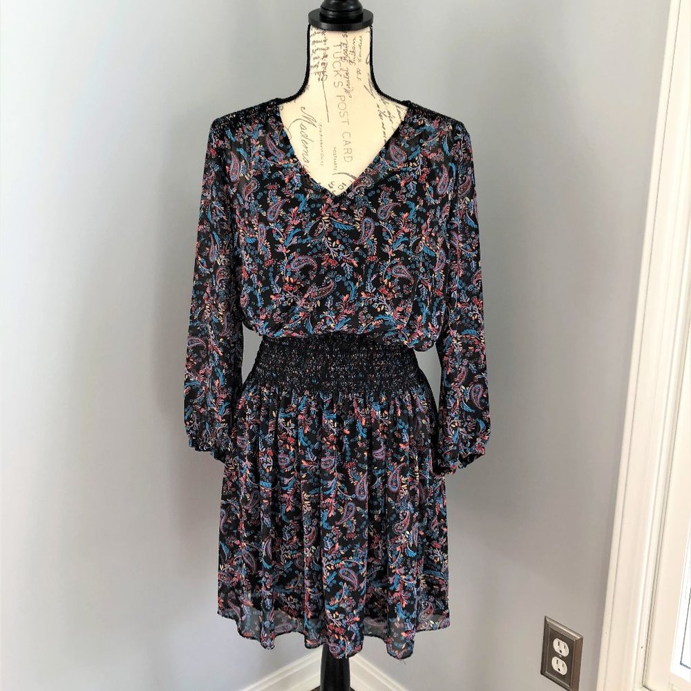 Long Sleeve Sheer dress with slip